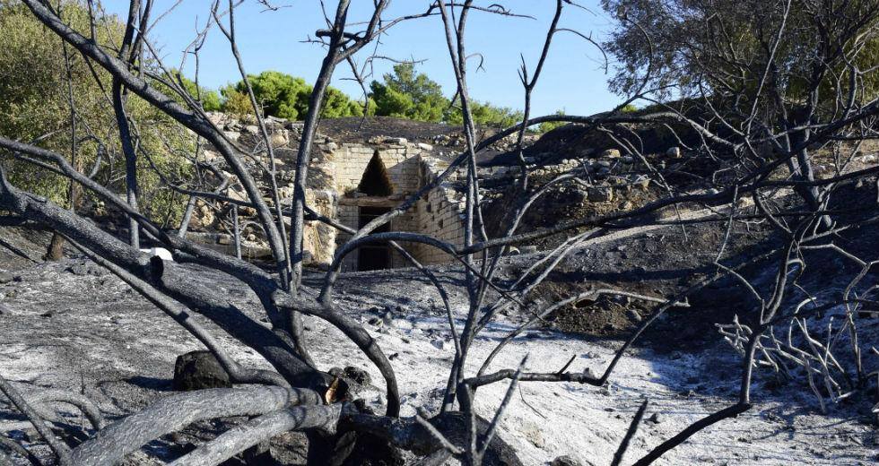 Τσίπρας για Μυκήνες: Η στάση της κυβέρνησης προκαλεί οργή