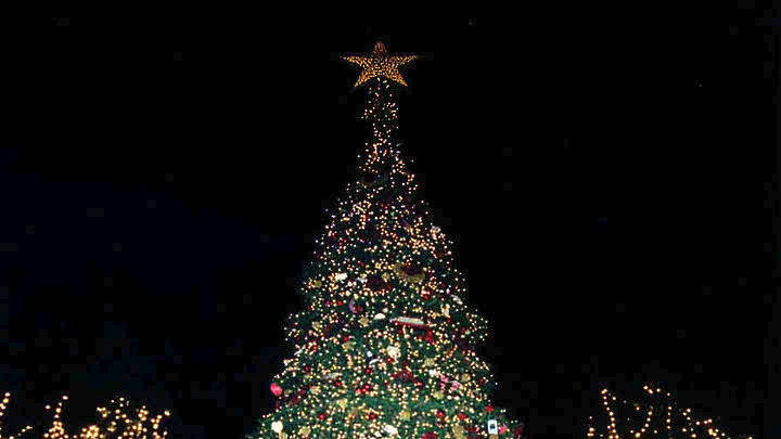 Γκρέμισαν με μανία το χριστουγεννιάτικο δέντρο σε πλατεία των Ιωαννίνων (Photos)