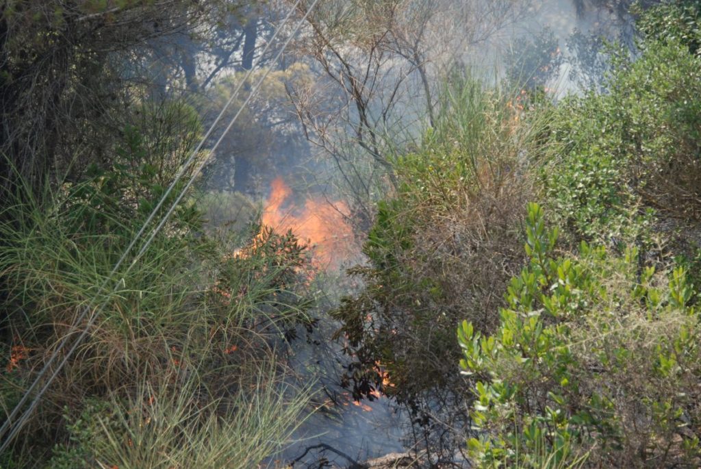 Πυρκαγιά στο Άλσος Βεΐκου στο Γαλάτσι