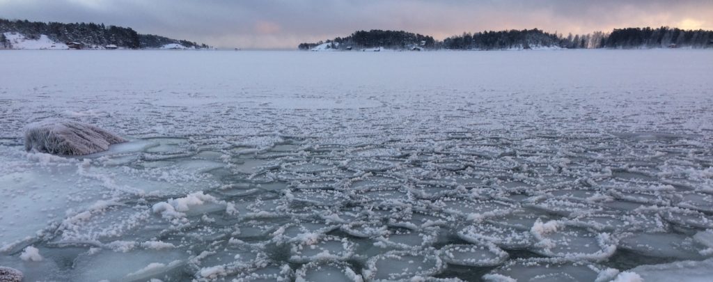 Βαλτική: Η ζεστή θάλασσα πολλαπλασιάζει βακτήρια που προκαλούν σηψαιμία και θανατηφόρες λοιμώξεις δέρματος