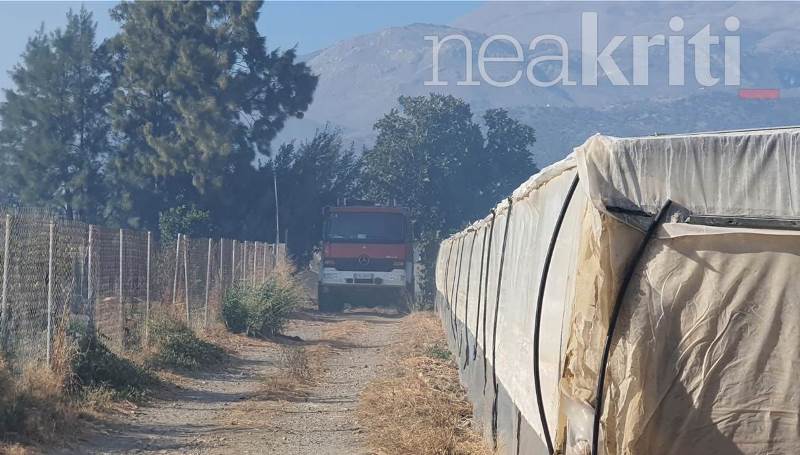 Ηράκλειο: Μεγάλη φωτιά στη Μεσαρά ανάμεσα σε θερμοκήπια – Φόβοι για σπίτια, αν εξαπλωθεί (εικόνες)