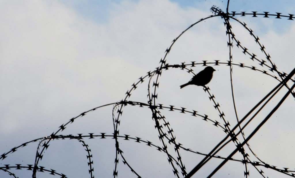 Φυλακές Νιγρίτας: Συνελήφθη και δεύτερος σωφρονιστικός υπάλληλος μετά από μήνυση κρατουμένου