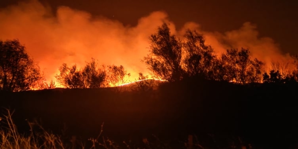 Αλεξανδρούπολη: Μεγάλη φωτιά σε δασική έκταση στους οικισμούς Μελίας και Νίψας
