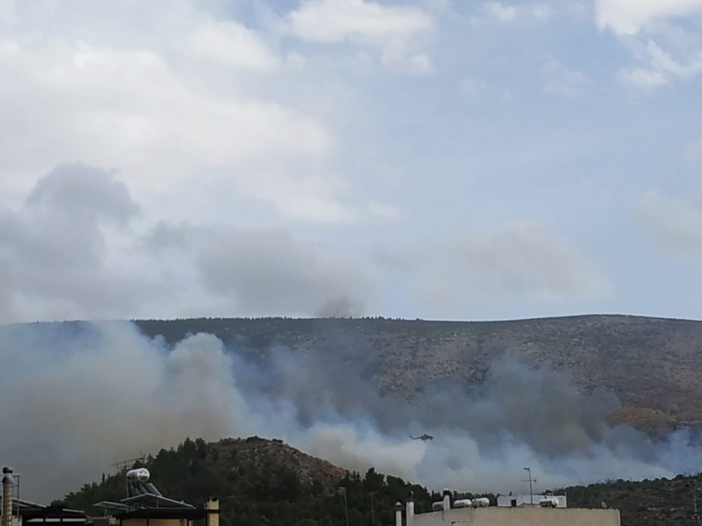 Καρέας: Ξέσπασε φωτιά που κατευθύνεται προς το δάσος – Διακοπή κυκλοφορίας  (Photos+Videos)