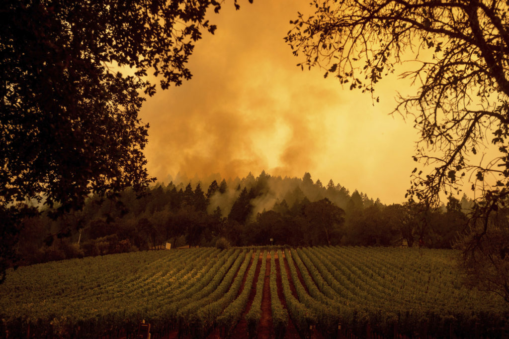 Συνεχίζουν να μαίνονται ανεξέλεγκτες οι δασικές πυρκαγιές στη βόρεια Καλιφόρνια