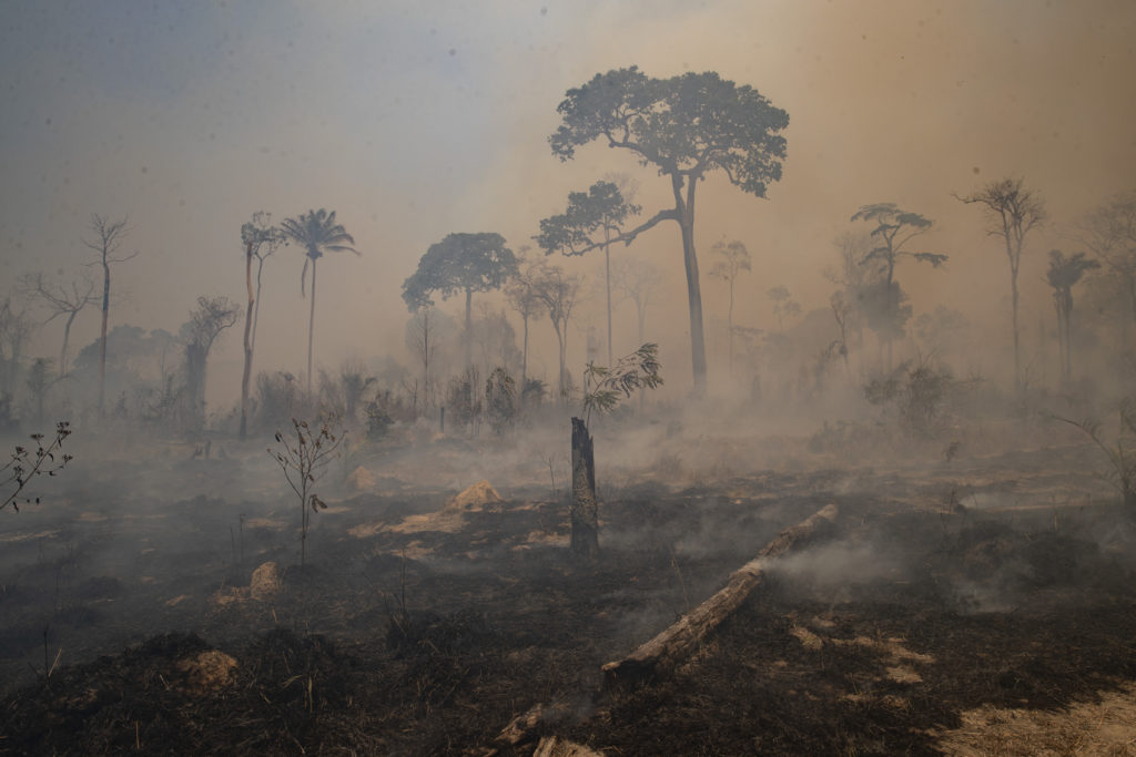 Βραζιλία: Οι πυρκαγιές φέτος είναι οι χειρότερες των τελευταίων δέκα χρόνων