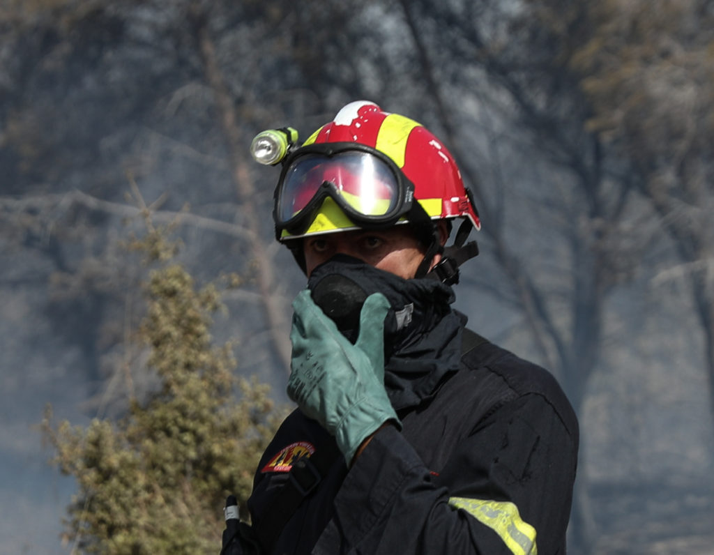 Ολονύχτια μάχη με τη φωτιά στον Έβρο – Ενισχύονται οι δυνάμεις της πυροσβεστικής