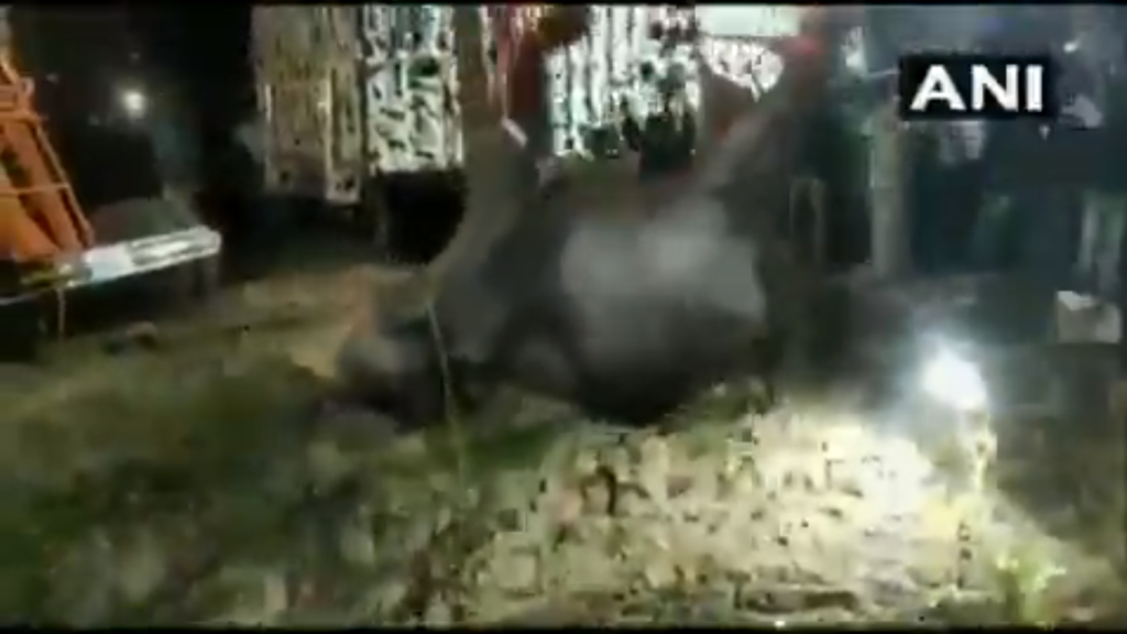Ινδία: Επιχείρηση 12 ωρών για τη διάσωση ελέφαντα που είχε πέσει σε πηγάδι (Video)