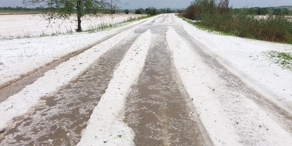 Διδυμότειχο: 30.000 στρέμματα καλλιεργειών καταστράφηκαν από χαλάζι (Photos και Video)