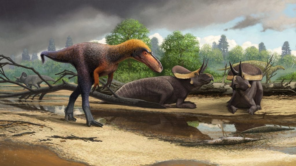 Παλαιοντολόγοι ανακάλυψαν τυραννόσαυρο – μινιατούρα