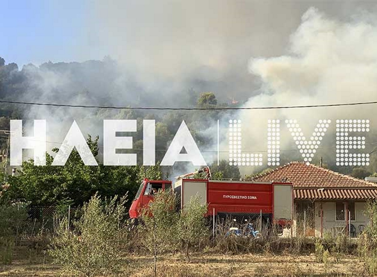 Μεγάλη φωτιά στην Ηλεία: Απειλούνται σπίτια – Ζητήθηκε εκκένωση του χωριού Δάφνη