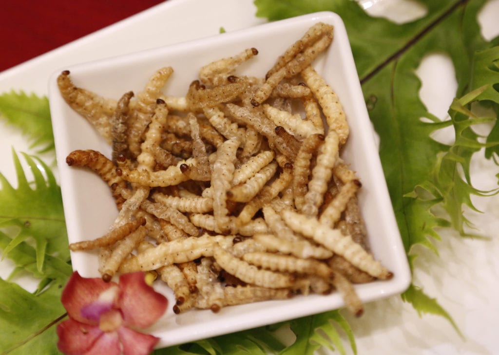 Τα πρώτα έντομα στα πιάτα των Ευρωπαίων ως… διατροφή!