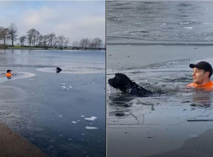 Ηρωικός δρομέας βουτά σε παγωμένη λίμνη να σώσει σκυλάκι