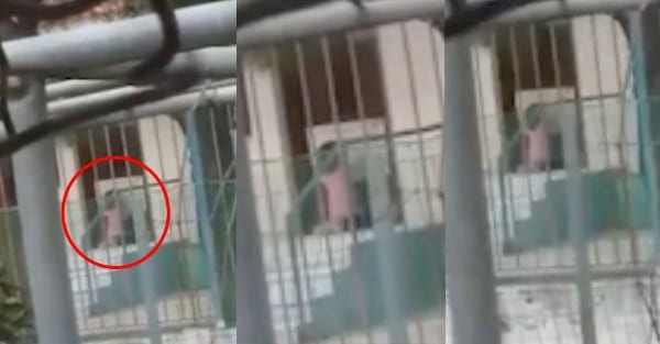 Χαλκίδα: Νηπιαγωγός φέρεται ότι έβγαλε έξω στο κρύο τετράχρονη για να την …τιμωρήσει – ΕΔΕ διέταξε το Υπουργείο (video)