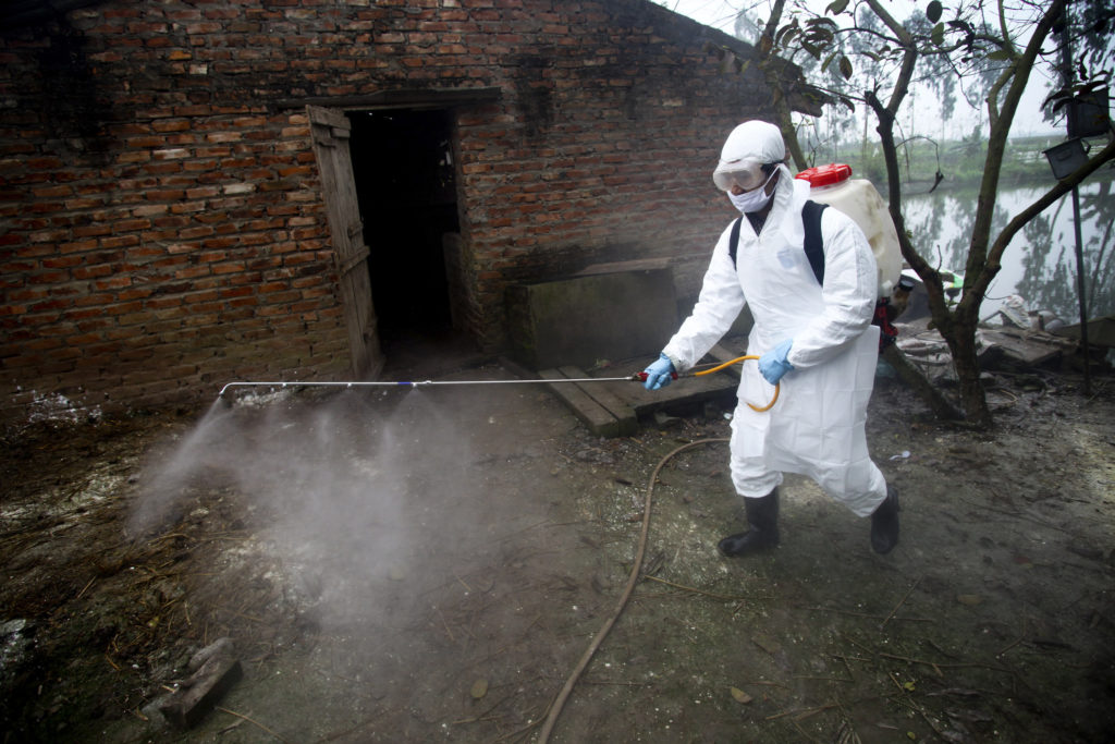 Βιετνάμ: Εντολή να σφαγιαστούν 100.000 πουλερικά για να αναχαιτιστεί η εξάπλωση στελεχών της γρίπης των πτηνών