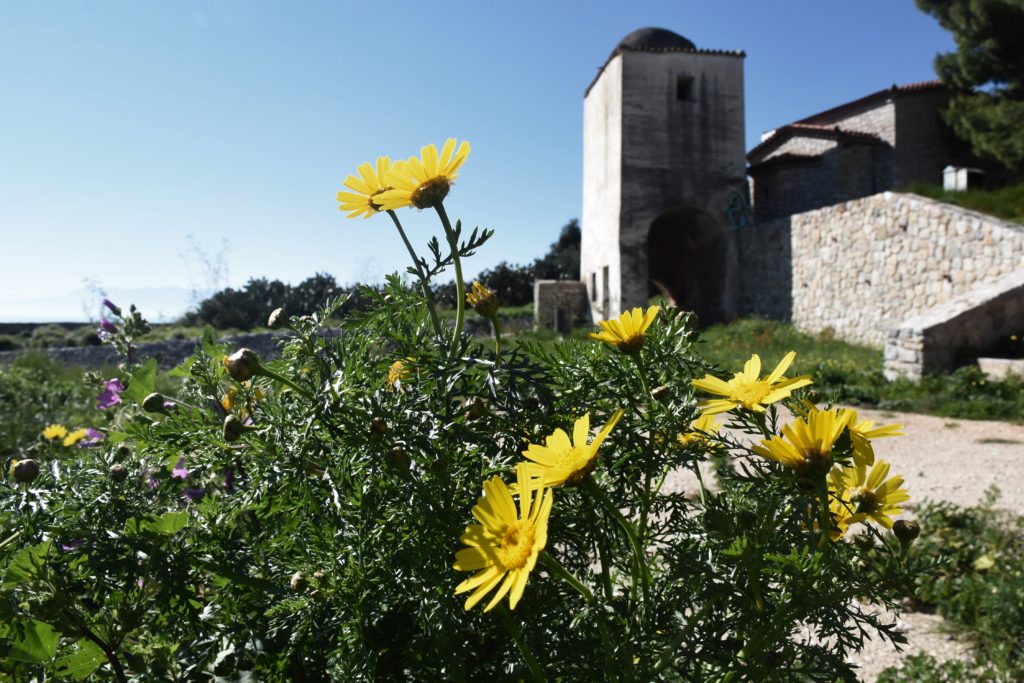 Καλός καιρός και την Τετάρτη – Στους 23 βαθμούς έφτασε σήμερα ο υδράργυρος