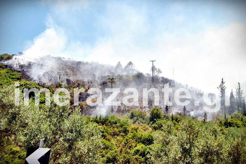 Ζάκυνθος: Σε ύφεση το πύρινο μέτωπο στις Ορθονιές (Photos)