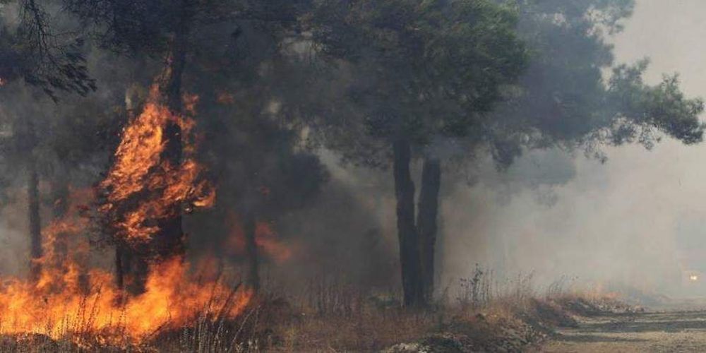 51 πυρκαγιές εκδηλώθηκαν το τελευταίο 24ωρο