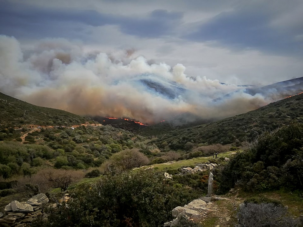 Άνδρος: Σε ύφεση η μεγάλη φωτιά στην περιοχή Ρέματα (Photos/Videos)
