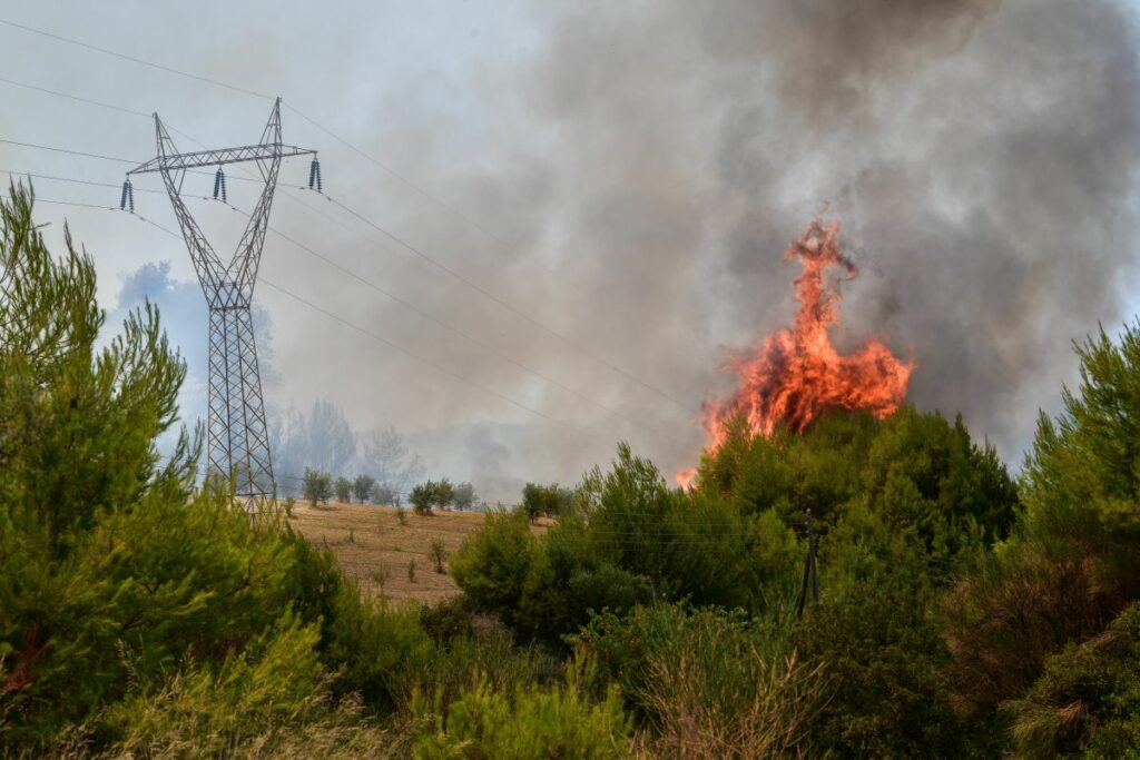 Φωτιά σε δασική έκταση στο Λαύριο Αττικής