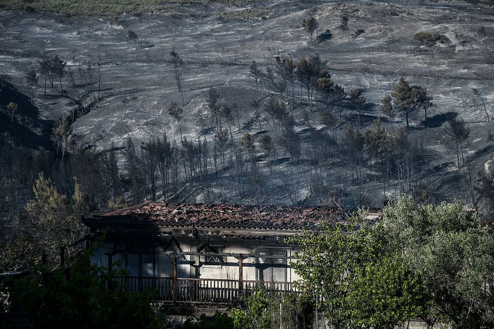 Φωτιά στον Σχίνο: Έτσι φαίνεται το πύρινο μέτωπο από το διάστημα