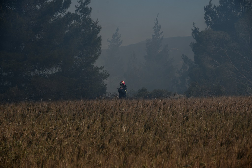 Λέκκας για πυρκαγιά στον Σχίνο: Τεράστιες οι επιπτώσεις στο περιβάλλον