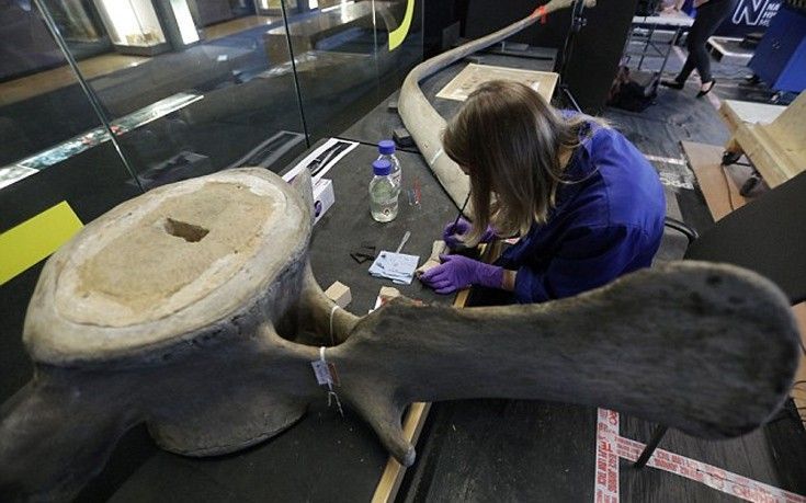 Βρετανία: Σκελετός δεινοσαύρου κάνει… περιοδεία σε όλη την χώρα (Photos)