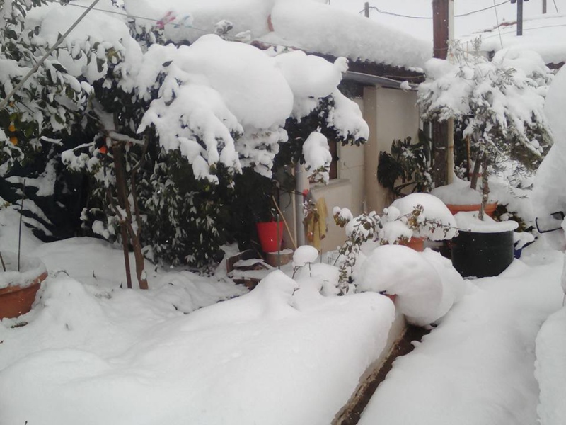 Νησιά, εθνικό και επαρχιακό δίκτυο στο έλεος του χιονιά- Κλειστά αύριο τα σχολεία σε πολλές περιοχές