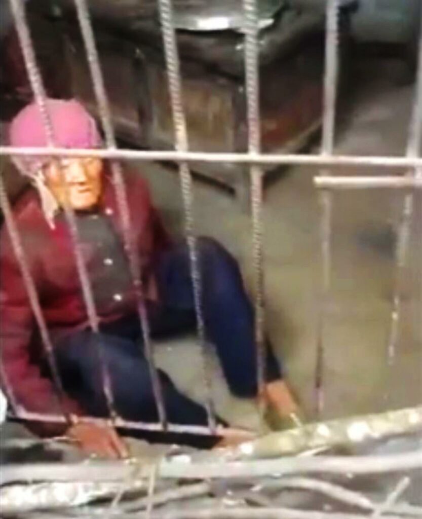 Κίνα: Έκλεισε την 92χρονη μάνα του σε χοιροστάσιο λόγω… ακράτειας (Video)