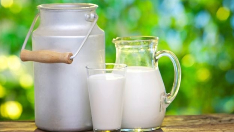 Τι προβλέπει το νομοσχέδιο του υπουργείου Αγροτικής Ανάπτυξης για το γάλα