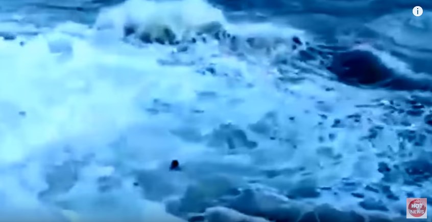 Φρίκη: Πνίγηκε στα τεράστια κύματα καθώς έβγαζε σέλφι στην παραλία (Σκληρό video)