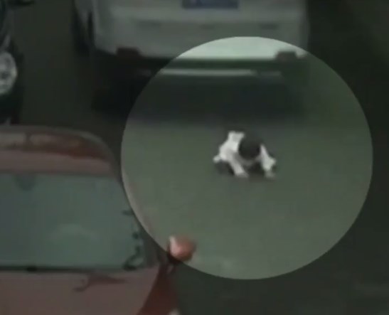 Κι όμως επέζησε – Απίστευτο βίντεο με ένα μωρό που μπουσουλάει στο δρόμο και αυτοκίνητα περνάνε από πάνω του (Video)
