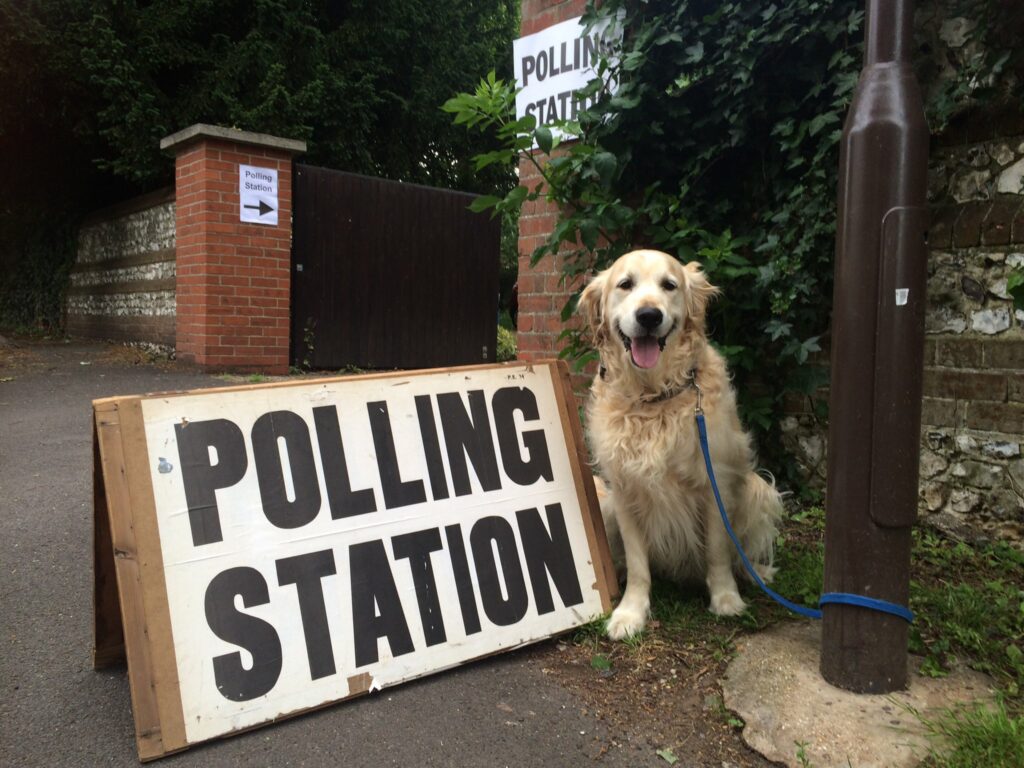 Βρετανία: Τα σκυλιά «πρωταγωνιστούν» έξω από τα εκλογικά τμήματα