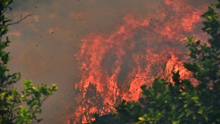 Πυρκαγιά στον ορεινό όγκο της Ροδόπης