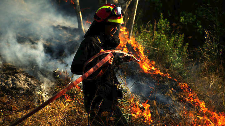 Πυρκαγιά στην Ηλεία – Δεν απειλούνται κατοικημένες περιοχές