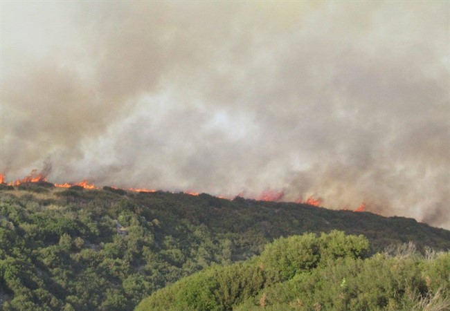 Μεγάλη φωτιά κοντά στο Πανεπιστήμιο Ιωαννίνων
