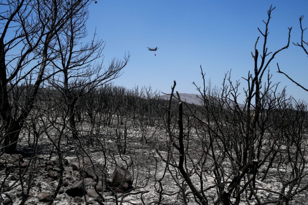 Κύθηρα: Κλιμάκιο αναζητά τα αίτια της πυρκαγιάς (Photos)