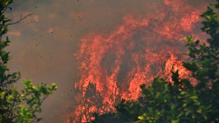 Μεγάλη πυρκαγιά στα Διάσελα Ηλείας – Καίει δάσος και αγροτική έκταση