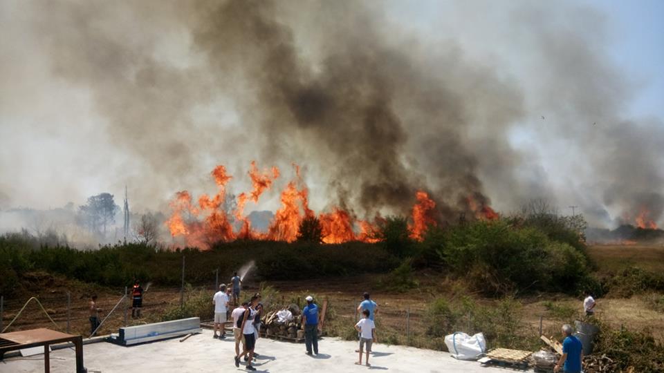 Μεγάλη φωτιά στη ΒΙΠΕ Πρέβεζας: Κάηκαν καλλιέργειες, απειλήθηκε οικισμός (Videos)