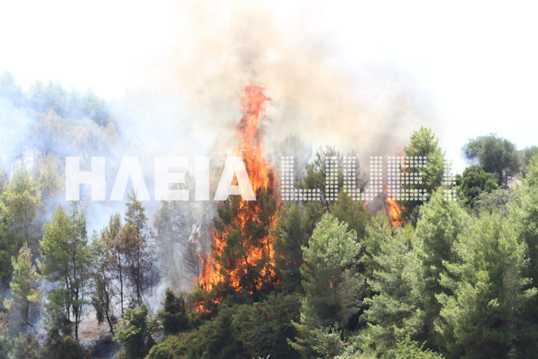 Αμαλιάδα: Σε δυο μέτωπα η πυρκαγιά – Αναπτύσσονται εναέριες δυνάμεις