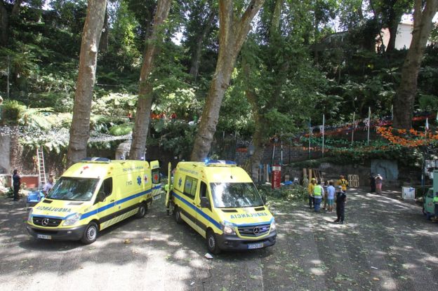 Έντεκα προσκυνητές νεκροί και 35 τραυματίες από πτώση δέντρου στη Μαδέρα