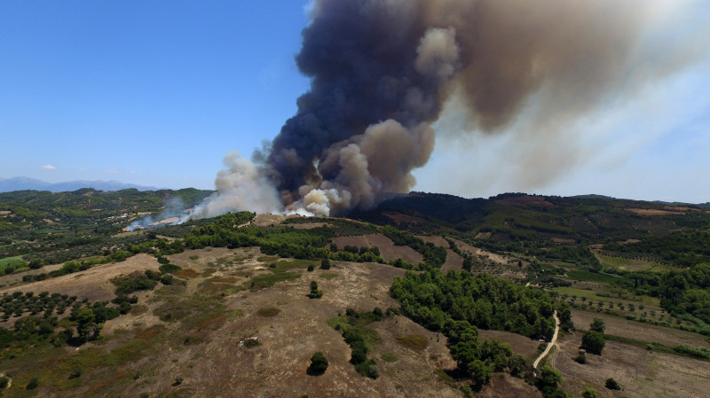 Ηλεία: Χωρίς ενεργό μέτωπο η φωτιά