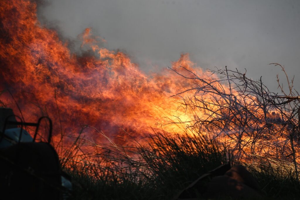 Οριοθετείται η πυρκαγιά στην Αττική – Στάχτη άφησαν πίσω τους οι φωτιές σε Ηλεία και Ζάκυνθο (Photos-Video)