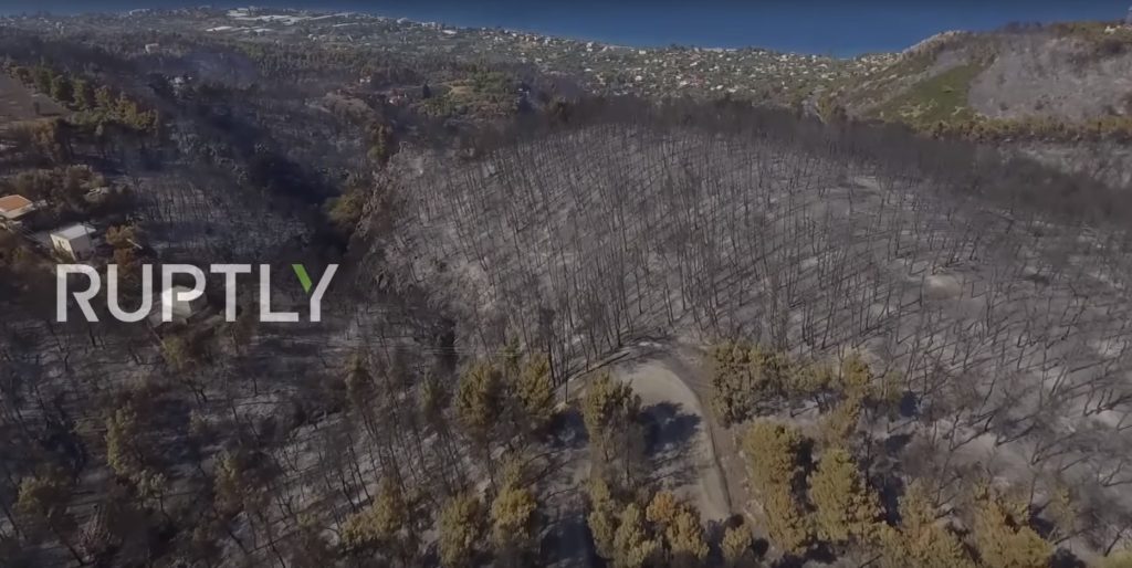 Εικόνα που ραγίζει καρδιές: Το καμένο πευκοδάσος του Καλάμου σε βίντεο από drone