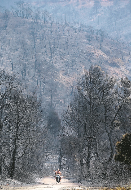 Το κράτος είναι ο μεγάλος  εμπρηστής των δασών