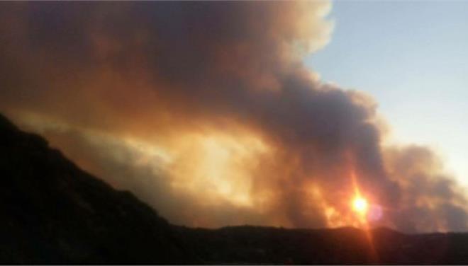 Καλαμάτα: Φωτιά σε δασική έκταση