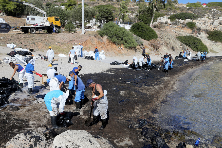 Καθαρά τα πρώτα δείγματα οστράκων από τον Σαρωνικό