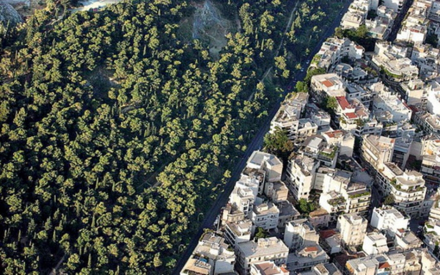 Ολοκληρώθηκε η ανάρτηση των δασικών χαρτών στο 37% της χώρας