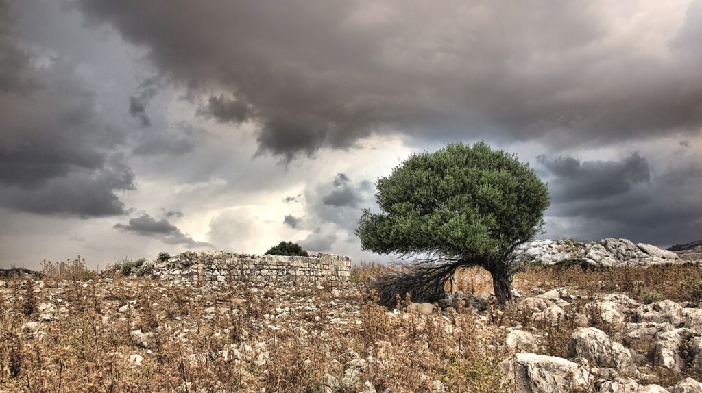 Καιρός: Αίθριος με 27 βαθμούς – Πέφτει η θερμοκασία από αύριο