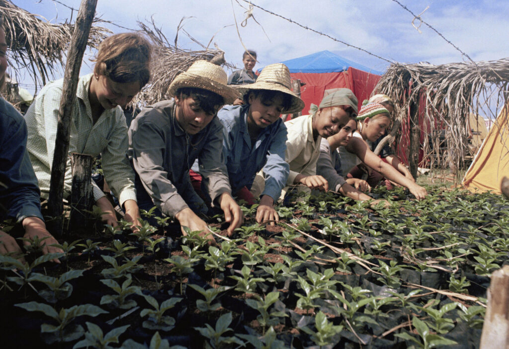 Η Κούβα καλλιεργεί βιολογικό καφέ επιδιώκοντας «φρέσκο» συνάλλαγμα